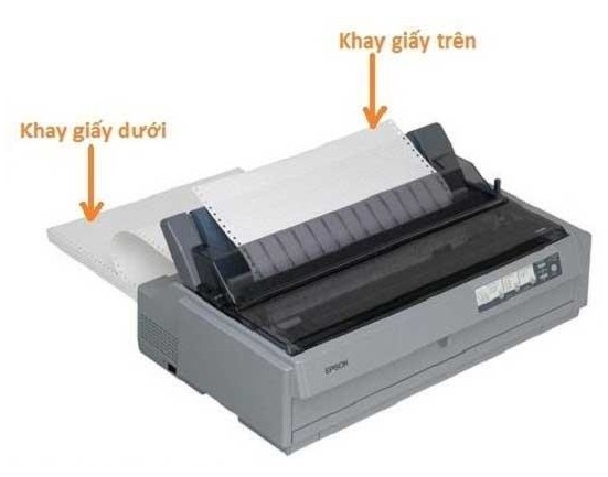Thao tác đưa giấy hóa đơn GTGT vào máy in kim đúng cách để tránh kẹt giấy