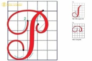 Mẫu chữ viết hoa “P” thanh lịch và đúng quy cách