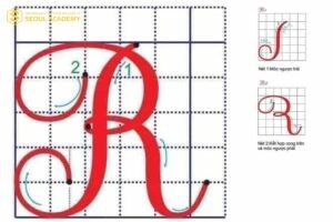 Mẫu chữ in hoa “R” chuẩn theo chương trình tiểu học