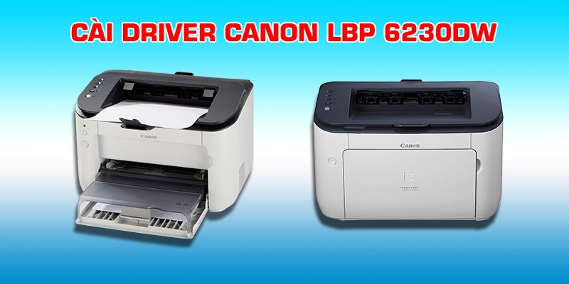 Giao diện tải xuống hoặc bắt đầu cài đặt driver máy in Canon LBP 6230dw