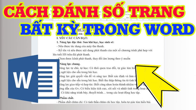 Cách in có số trang trong Word đơn giản