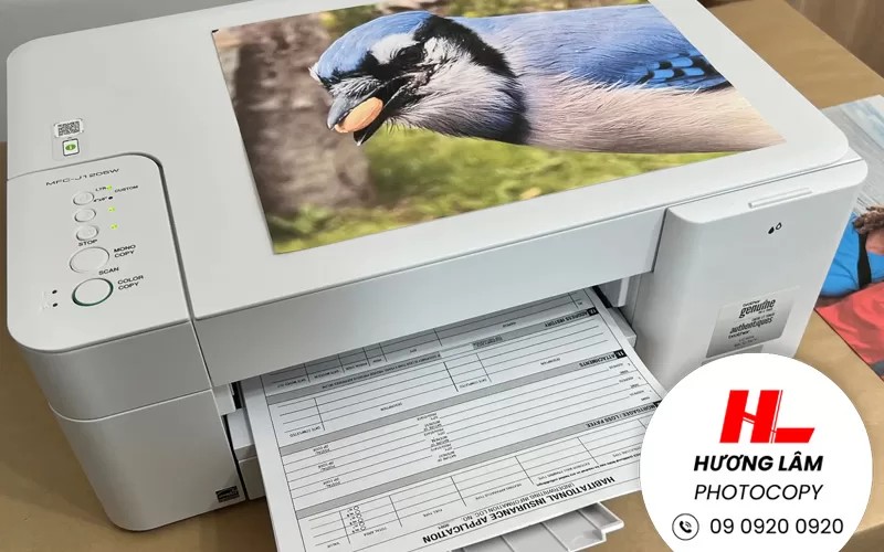 Hướng dẫn cách in file PDF 2 mặt không bị ngược