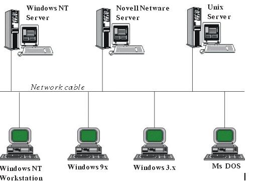 Mô hình liên kết các máy tính trong mạng lưới