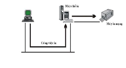 Các ứng dụng thực tiễn của mạng máy tính trong kinh doanh và học tập