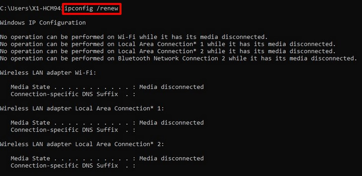 Thực hiện lệnh ipconfig /renew để làm mới địa chỉ IP