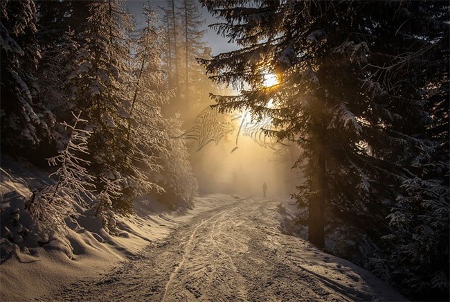 Ngôi nhà gỗ nhỏ ấm áp giữa rừng tuyết trắng lung linh ánh đèn, hình nền mùa đông cho máy tính