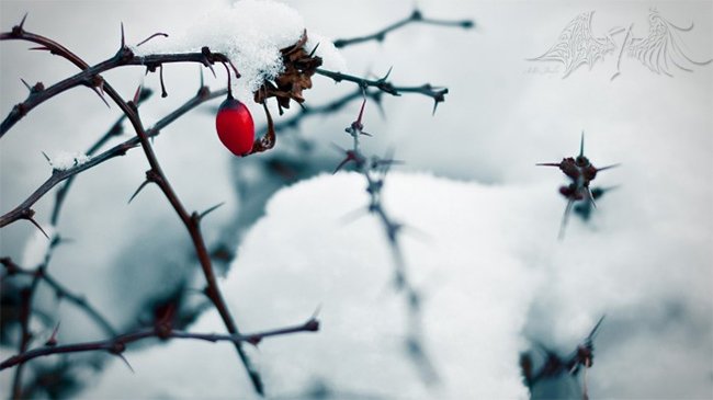 Khung cảnh thành phố lung linh ánh đèn phủ tuyết đêm Giáng Sinh, tạo không khí ấm áp cho hình nền mùa đông máy tính