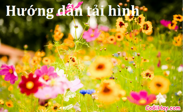 Menu ngữ cảnh lưu hình ảnh về mạng máy tính trên trình duyệt