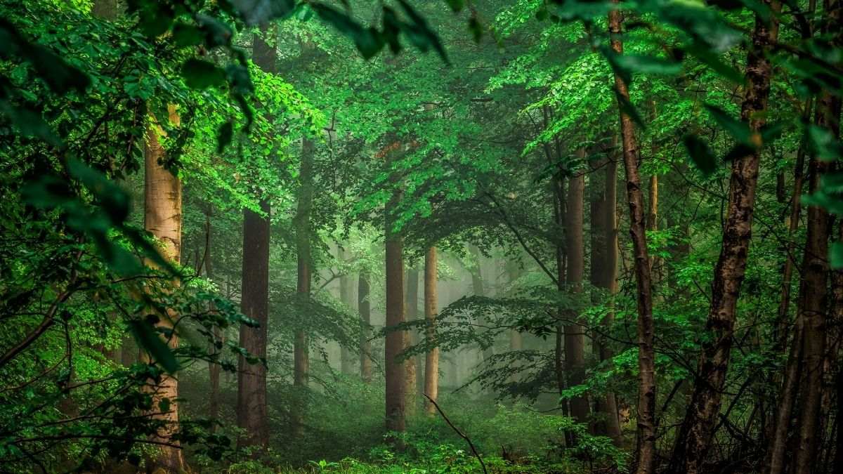 Hình nền máy tính 4K đẹp nhất mảng màu hiện đại