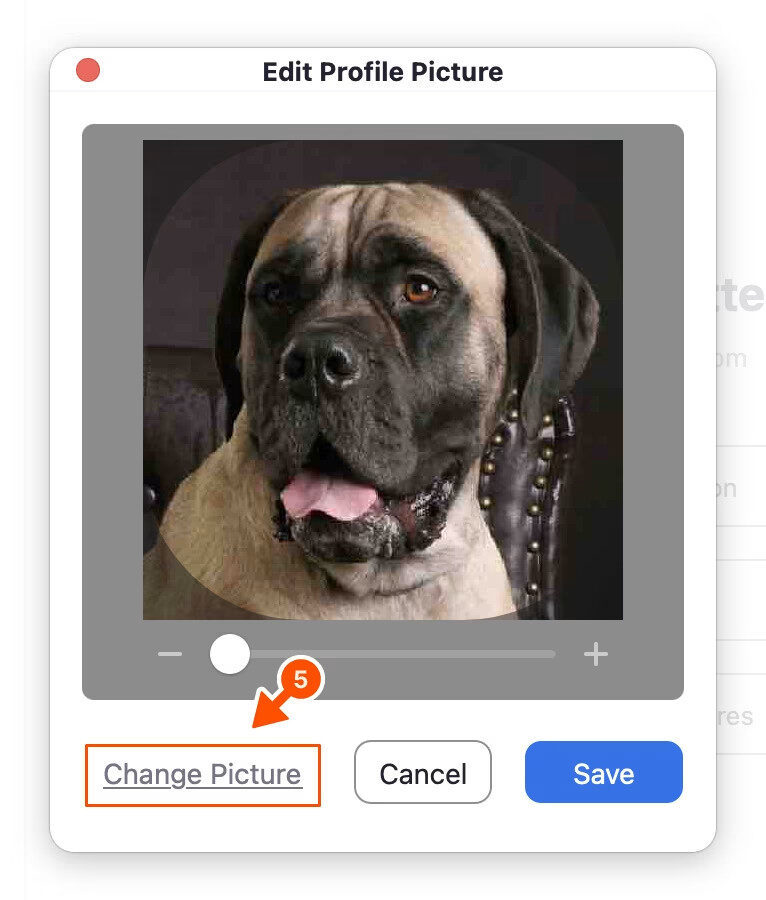 Nút thay đổi ảnh trong giao diện cài đặt trên máy tính