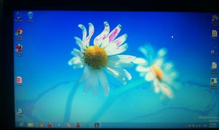 Màn hình máy tính bị kẻ ô: Nguyên nhân và cách khắc phục triệt để