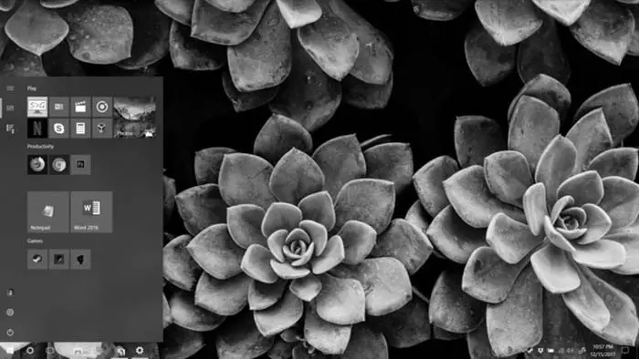 màn hình máy tính bị đen trắng